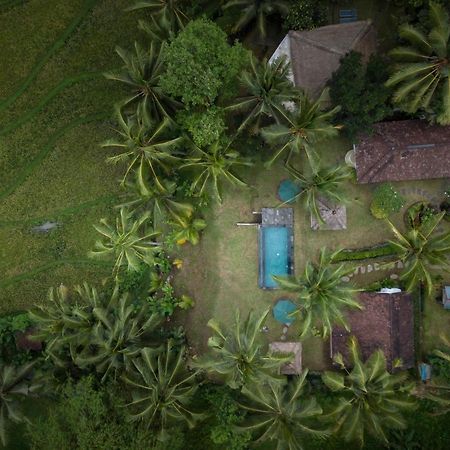 Green Sari Private Villa Ubud  Ngoại thất bức ảnh
