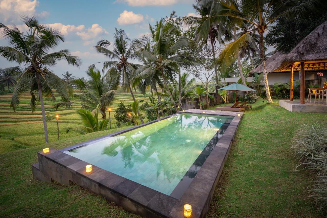 Green Sari Private Villa Ubud  Ngoại thất bức ảnh